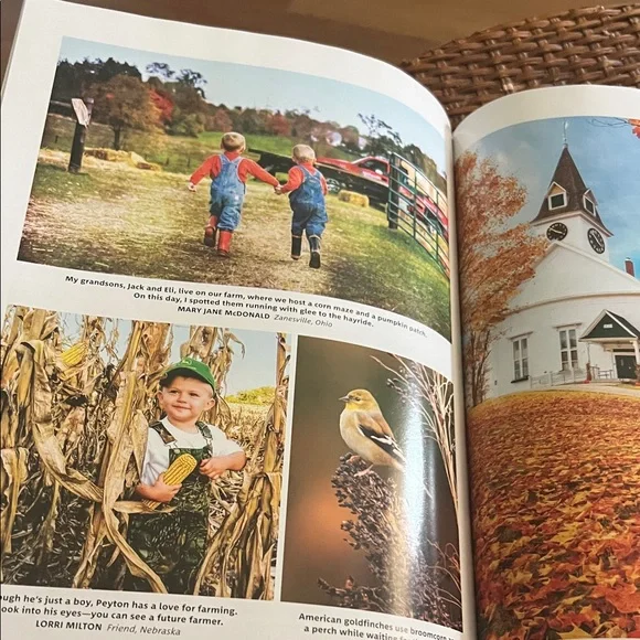 #0969**Sunflower Themed Home Accent Book - Picture 8 of 14